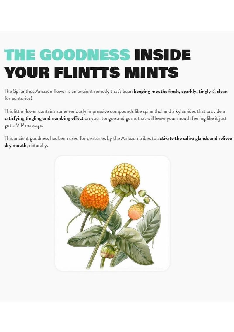 Flintts Mints