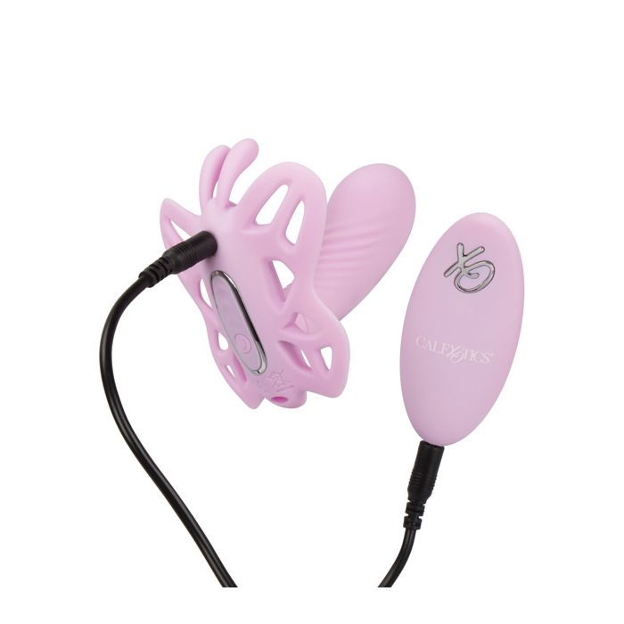 Venus Butterfly Pink