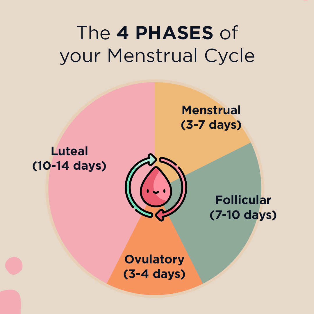 Understanding Your Menstrual Cycle & Sexual Health – Vibrant Synergy ...