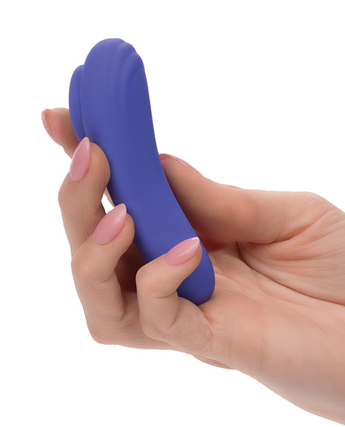 Panty Teaser Connect App
