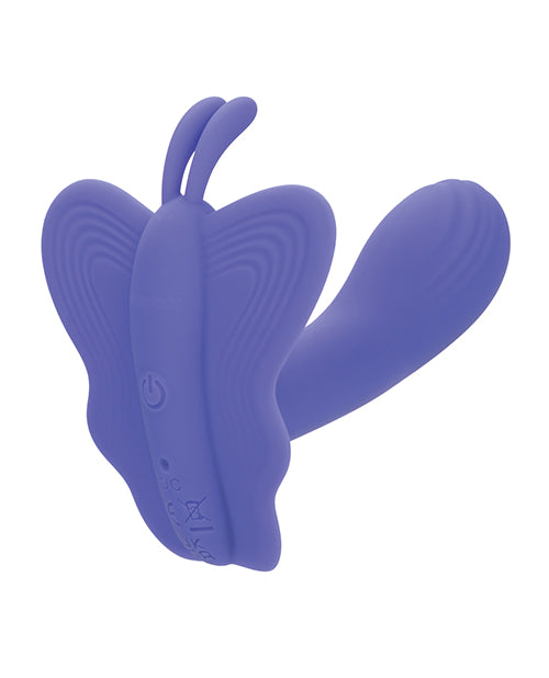 Connect App Venus Butterfly