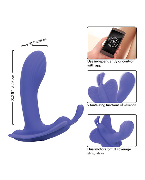 Connect App Venus Butterfly